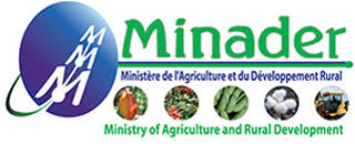 MINADER logo